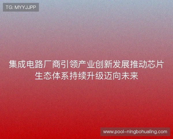 集成电路厂商引领产业创新发展推动芯片生态体系持续升级迈向未来